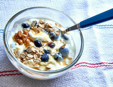 Yogurt with Honey & Oats
